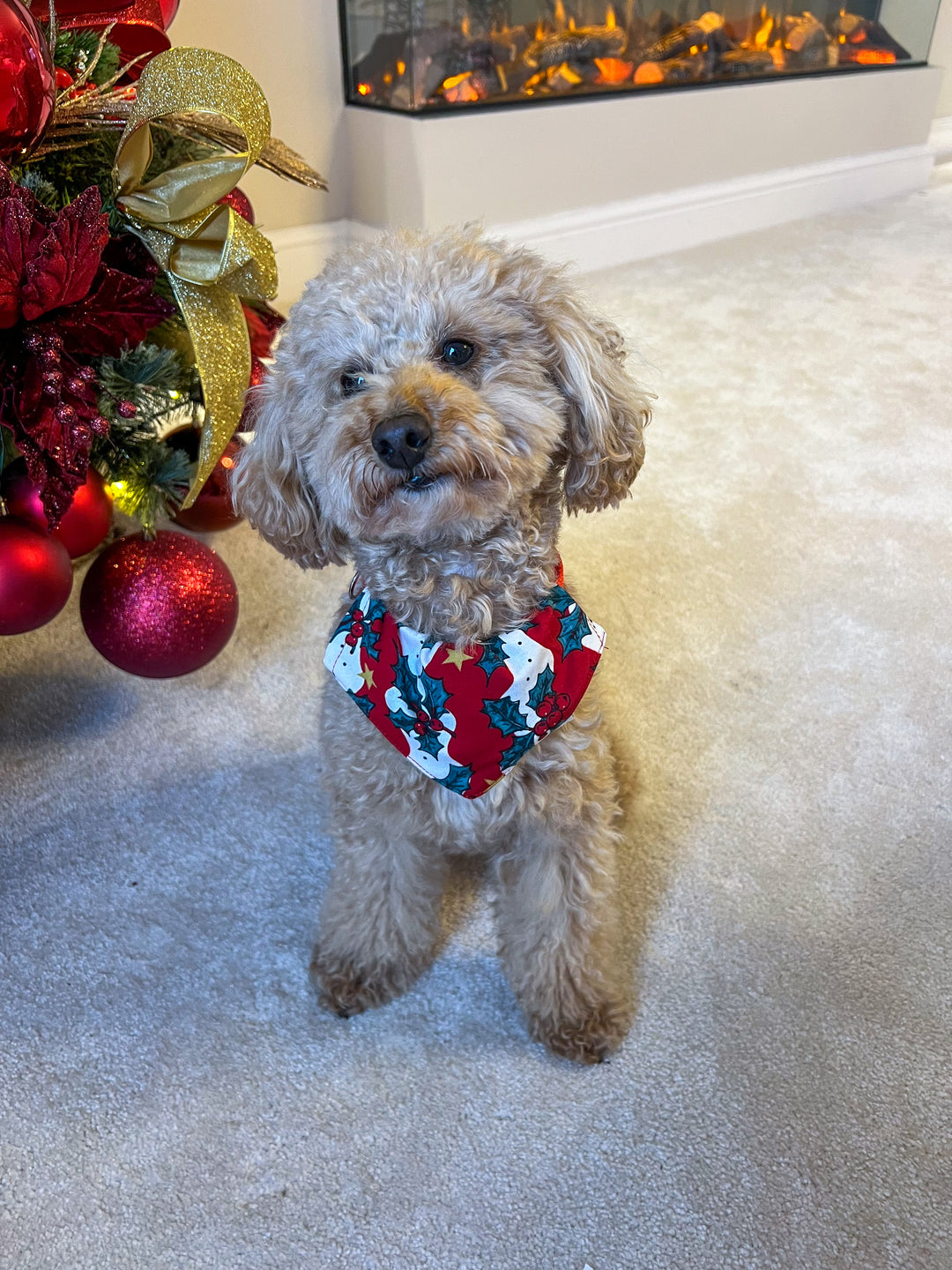 MISTLETOE & WINE - Pet's Matching Bandana