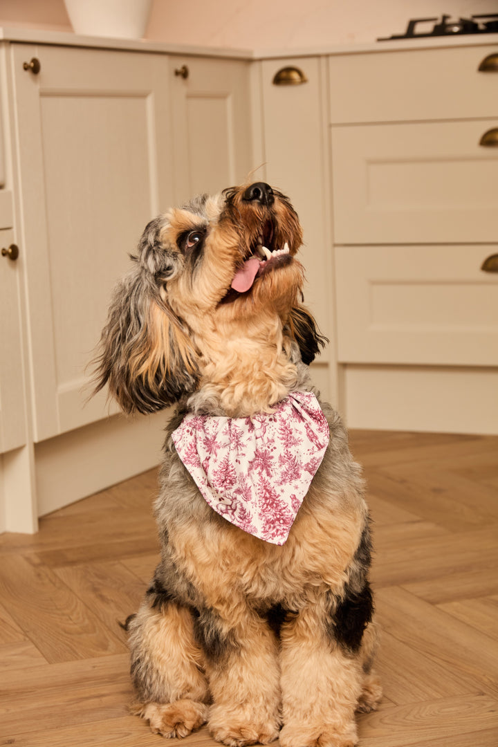ENCHANTED TOILE - Pet Satin Matching Bandana