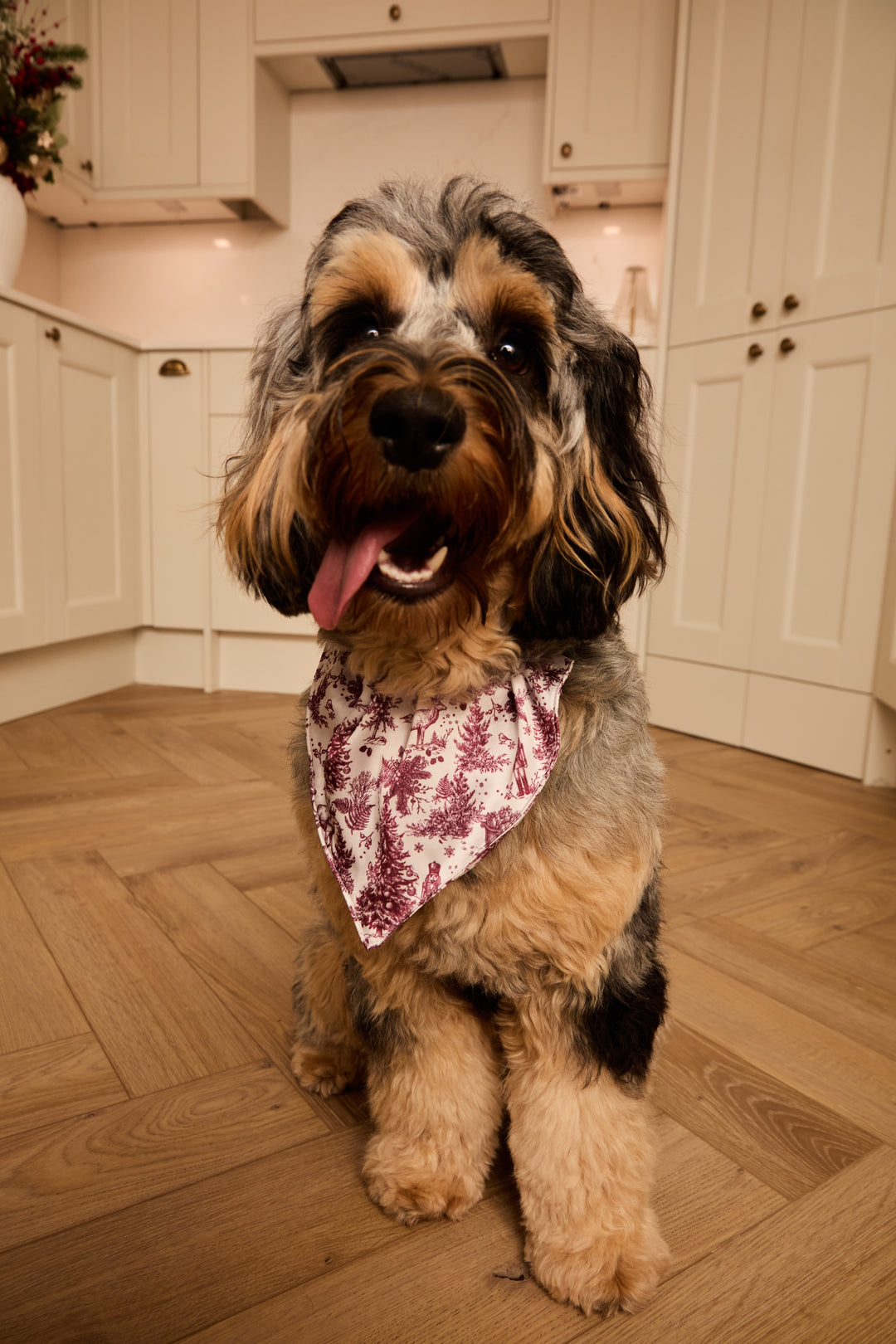 ENCHANTED TOILE - Pet Satin Matching Bandana