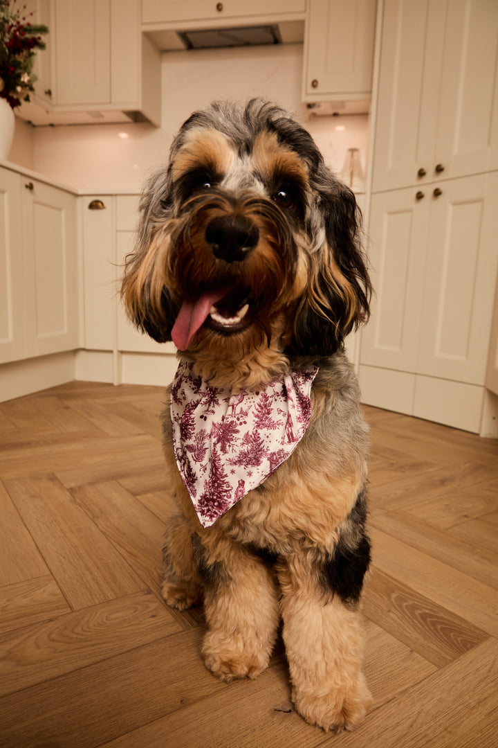 ENCHANTED TOILE - Pet Satin Matching Bandana
