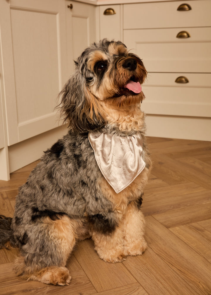 SILVER BELLS - Pet Satin Matching Bandana