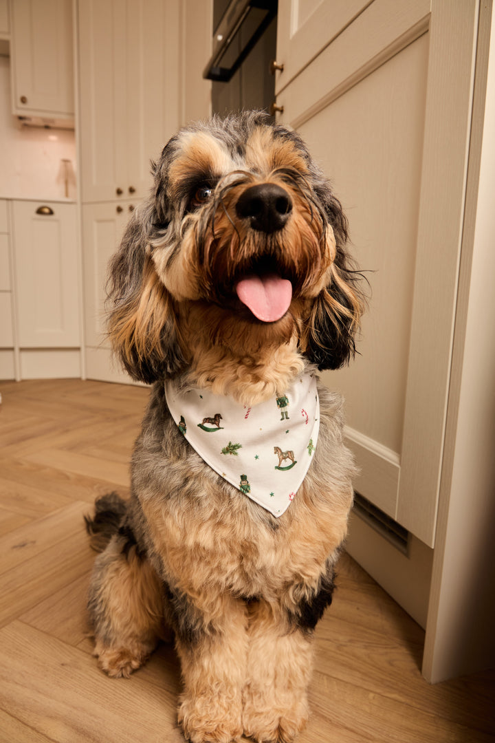 HOLIDAY MAGIC - Pet Matching Bandana