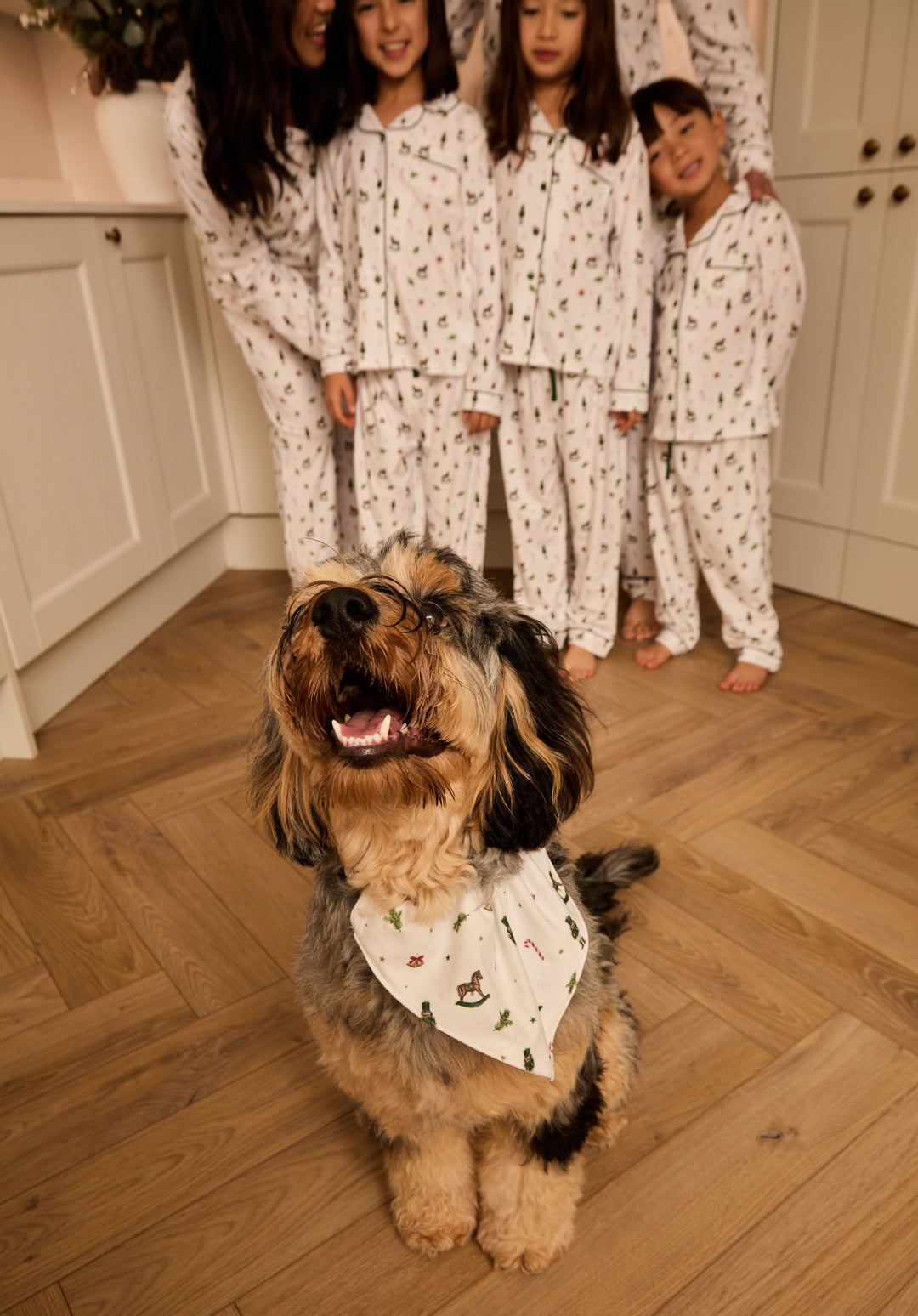 HOLIDAY MAGIC - Pet Matching Bandana