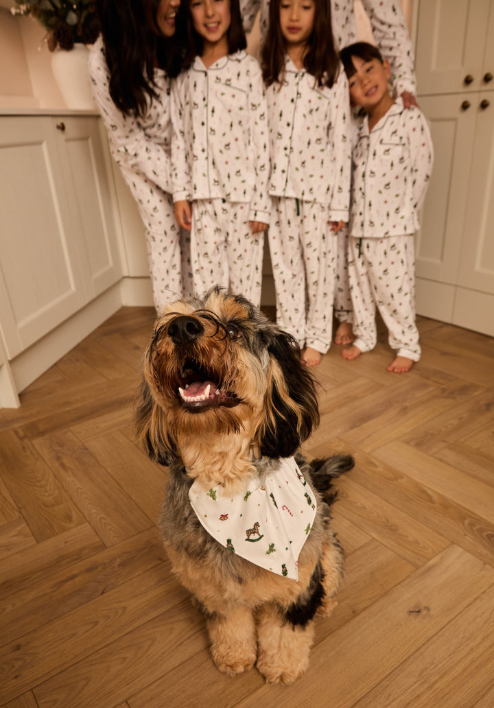 HOLIDAY MAGIC - Pet Matching Bandana