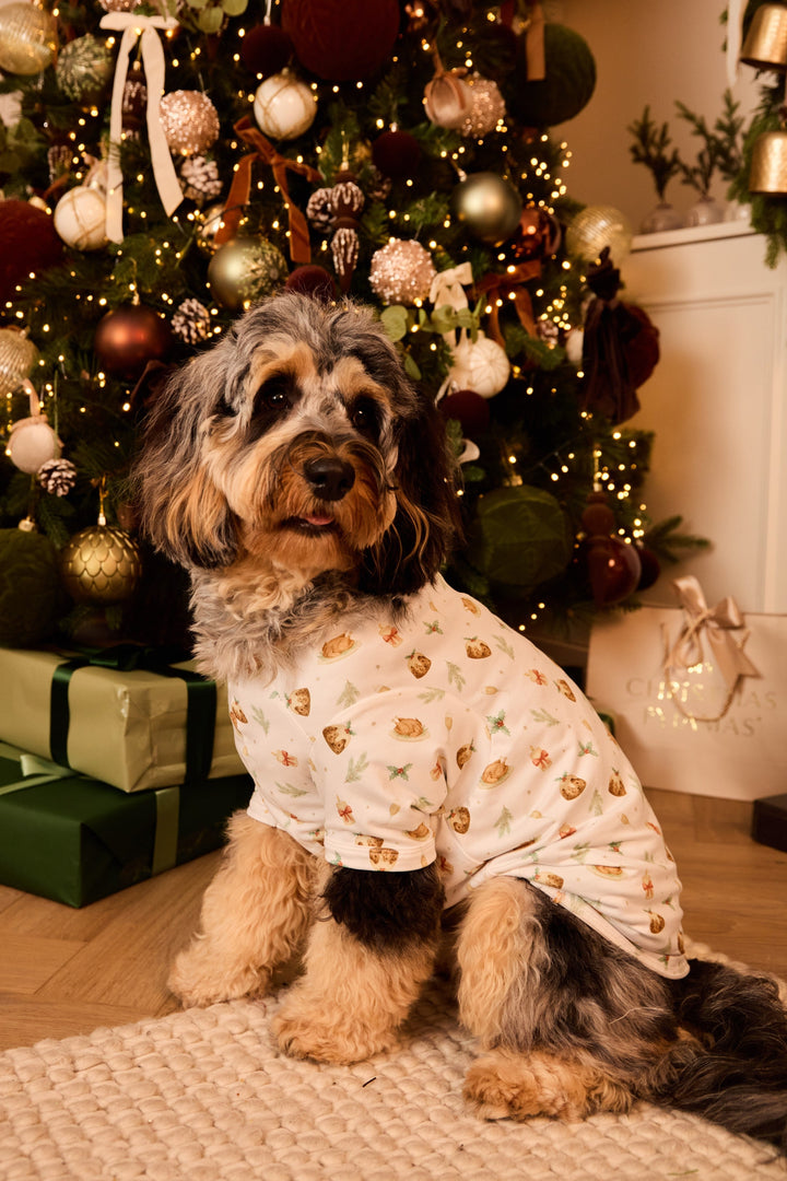 BRING ME SOME FIGGY PUDDING - Pet One Piece Matching Pyjamas
