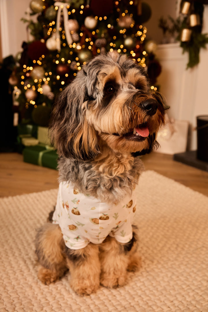 BRING ME SOME FIGGY PUDDING - Pet One Piece Matching Pyjamas