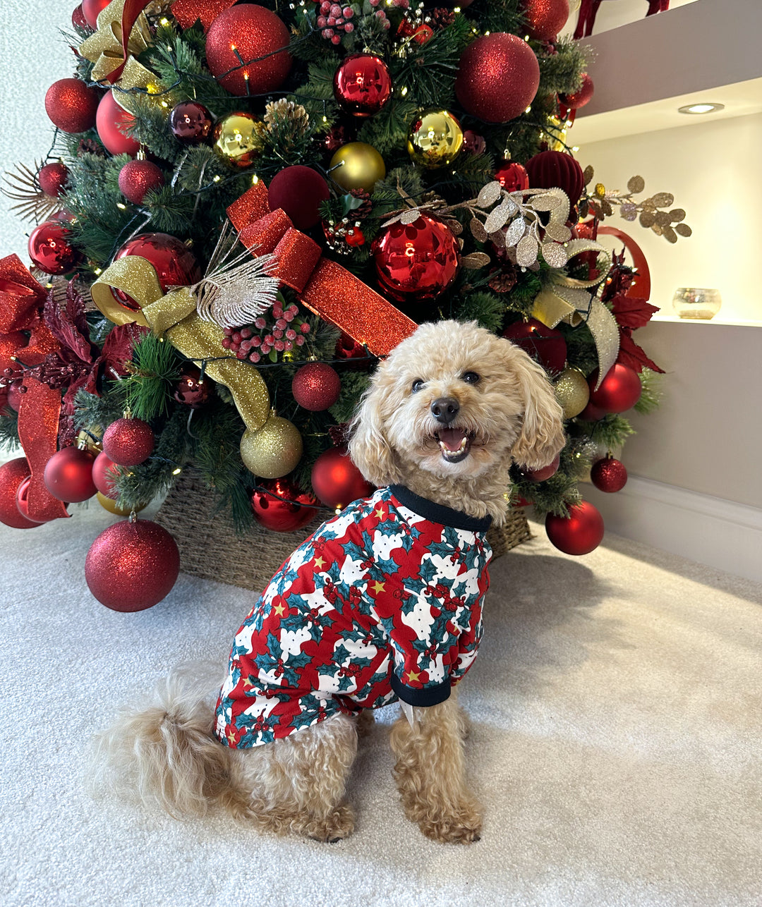 MISTLETOE & WINE - Pet One Piece Matching Pyjamas