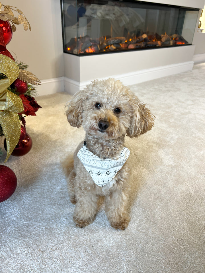 SNOW WHITE - Pet's Matching Bandana