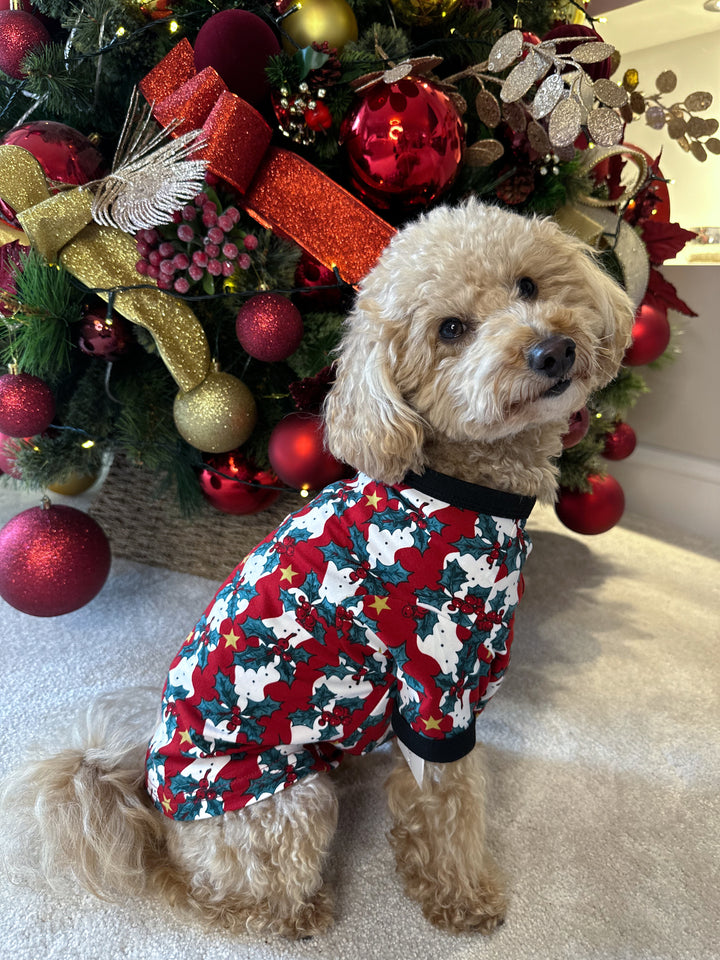 MISTLETOE & WINE - Pet One Piece Matching Pyjamas