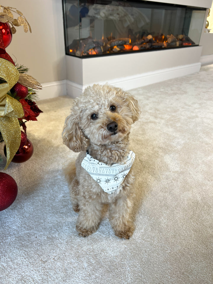 SNOW WHITE - Pet's Matching Bandana