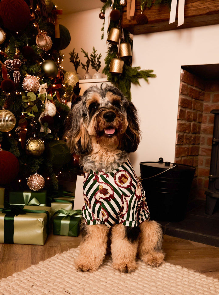 BEARY CHRISTMAS - Pet One Piece Matching Pyjamas
