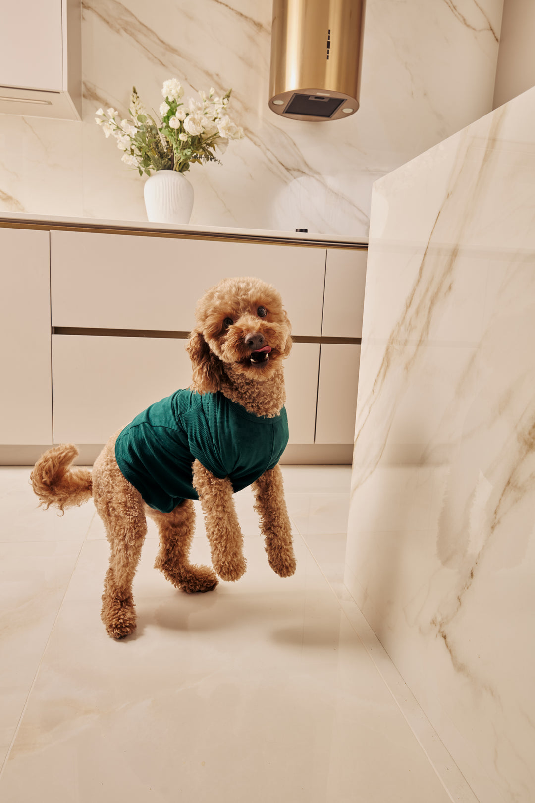 MIDNIGHT JEWEL (EMERALD GREEN) - Pet One Piece Matching Pyjamas