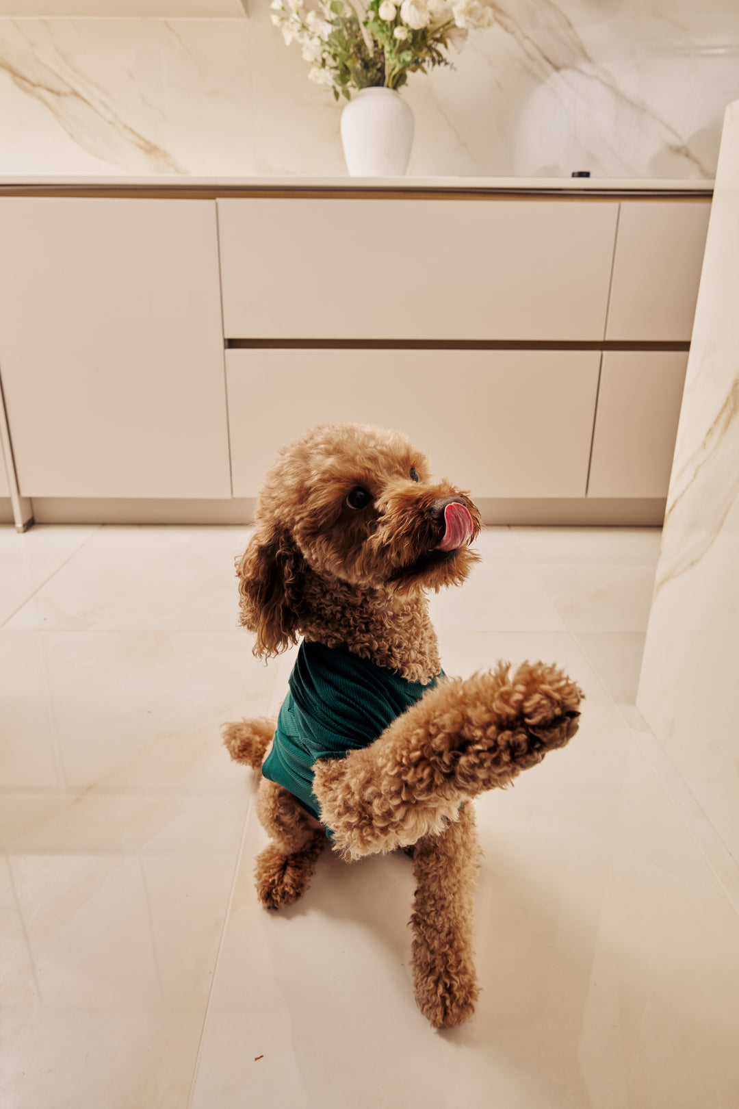 MIDNIGHT JEWEL (EMERALD GREEN) - Pet One Piece Matching Pyjamas