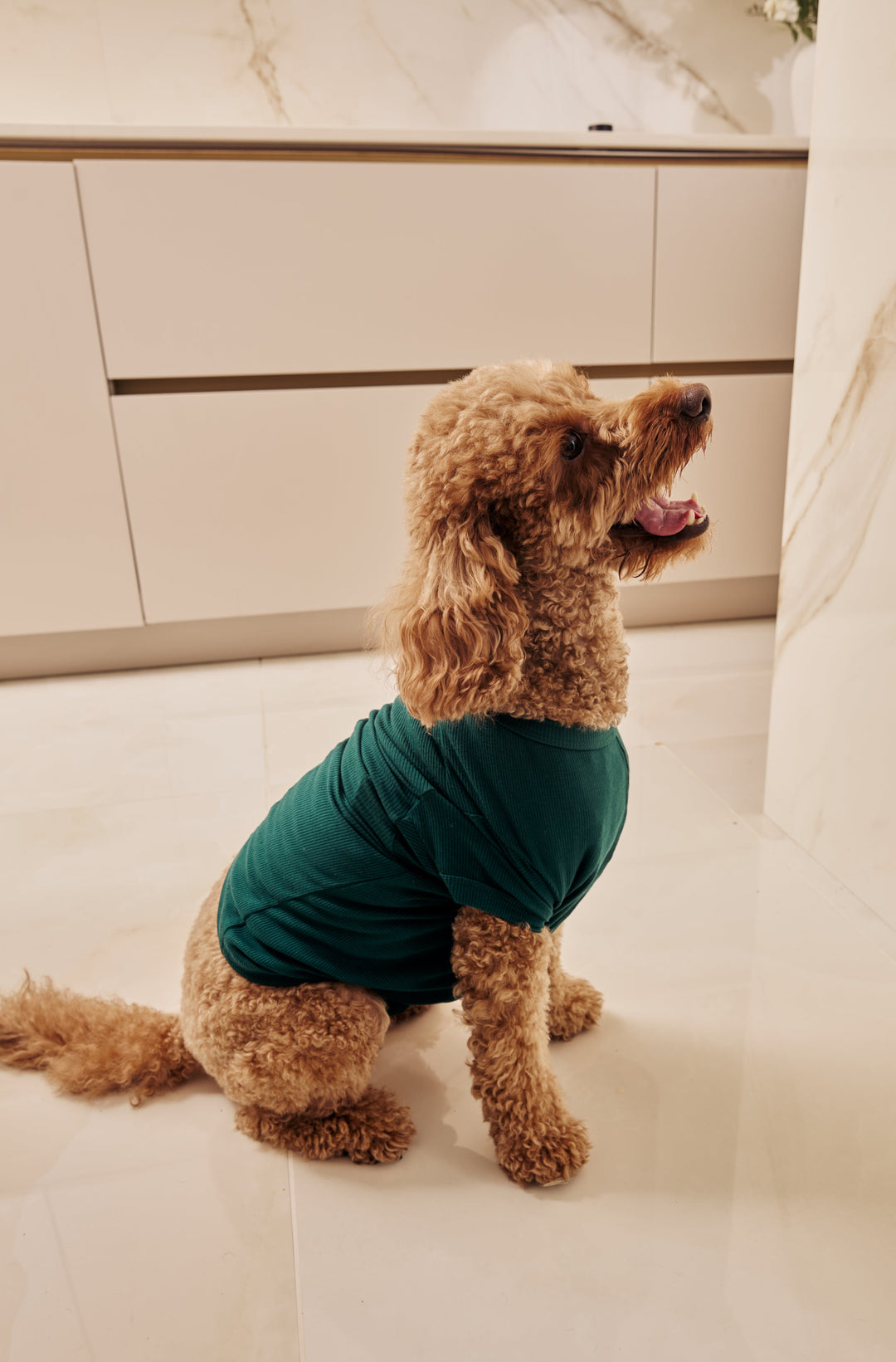 MIDNIGHT JEWEL (EMERALD GREEN) - Pet One Piece Matching Pyjamas