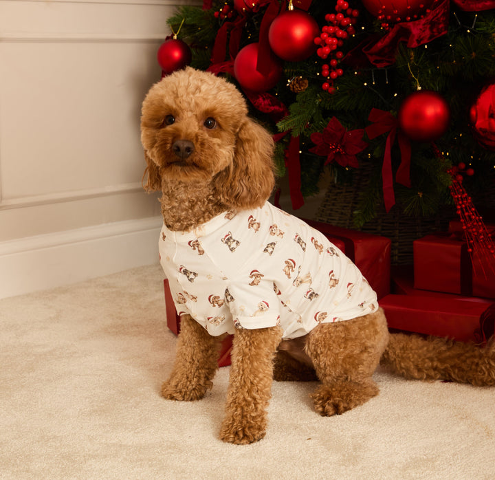 SANTA PAWS - Pet One Piece Matching Pyjamas