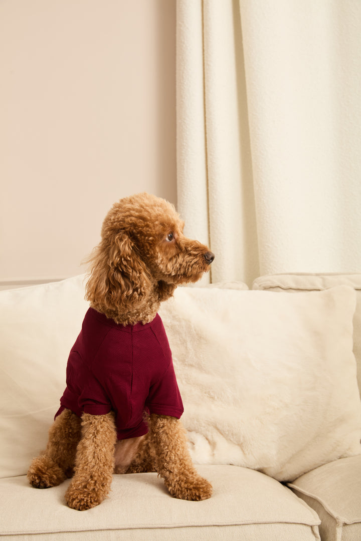 MIDNIGHT JEWEL (RICH BURGUNDY) - Pet One Piece Matching Pyjamas