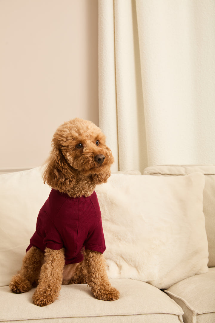 MIDNIGHT JEWEL (RICH BURGUNDY) - Pet One Piece Matching Pyjamas