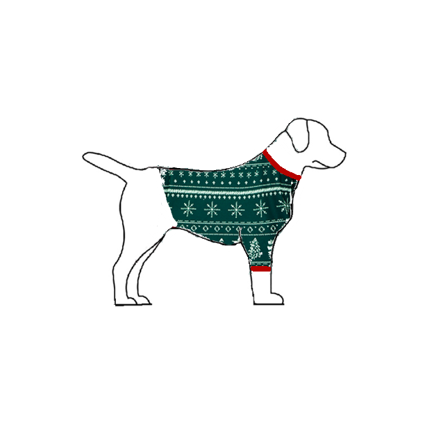 YULETIDE (2023) - Pet One Piece Green Matching Pyjama Set