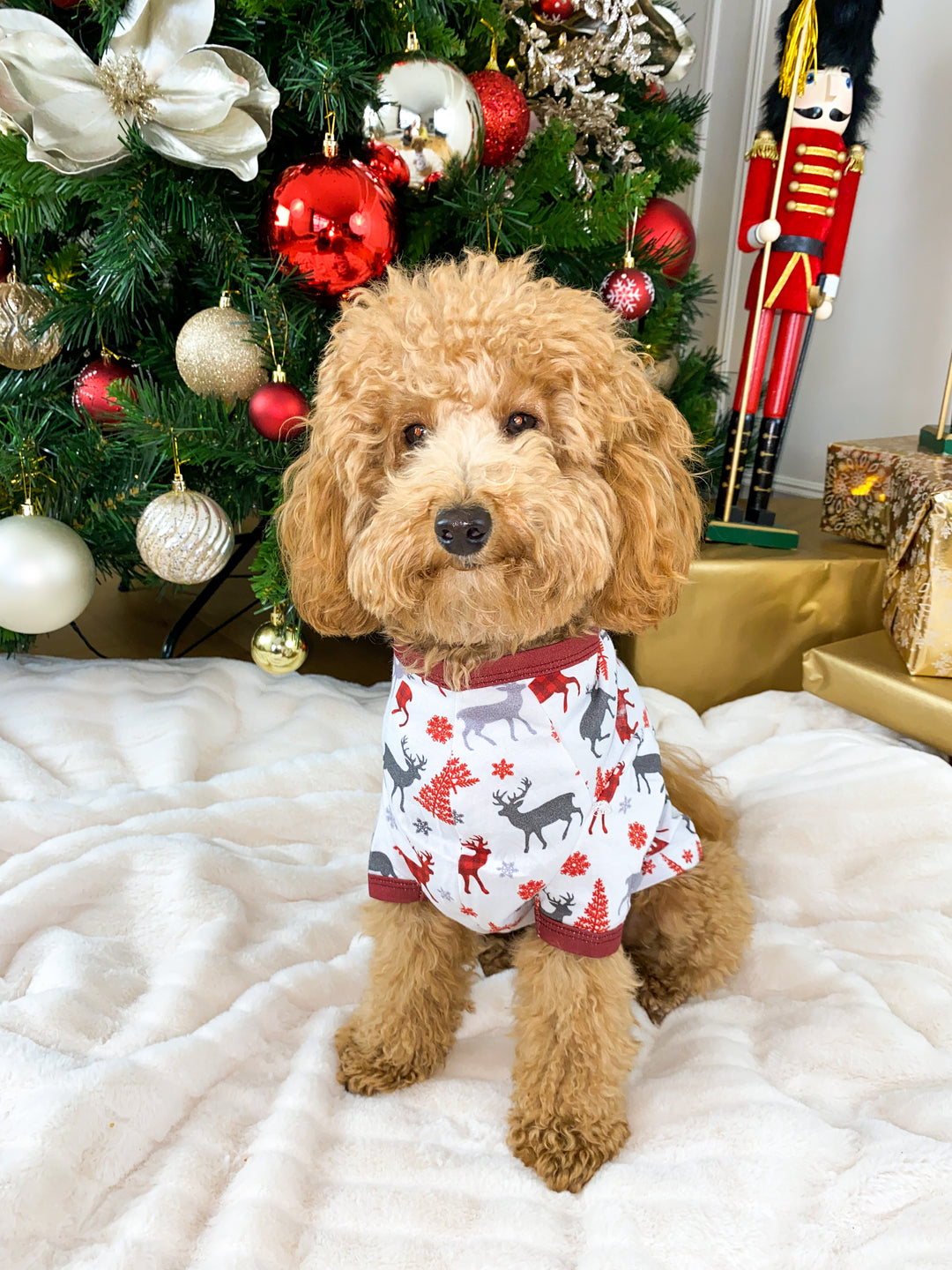 CHRISTMAS KISSES (2023) - Pet One Piece Red Matching Pyjama Set