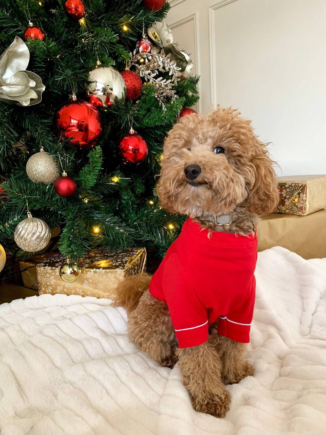 CANDY CANE - Pet One Piece Red Matching Pyjama Set *Option To Personalise!*