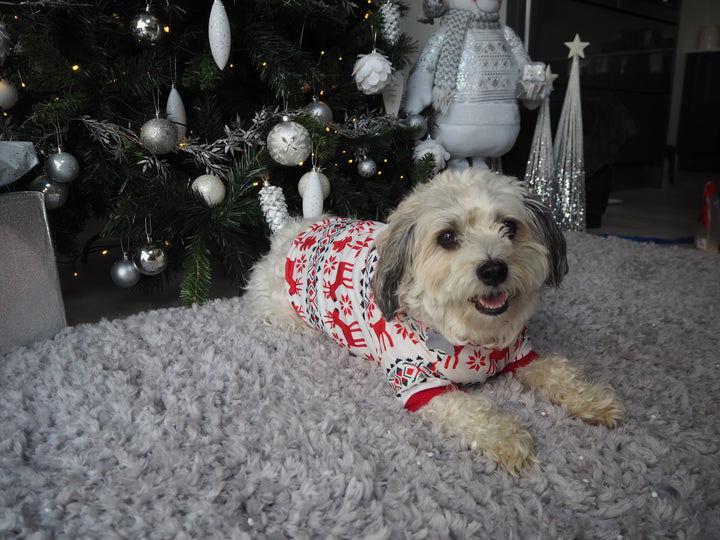 RUDOLPH - PET One Piece Matching Pyjamas