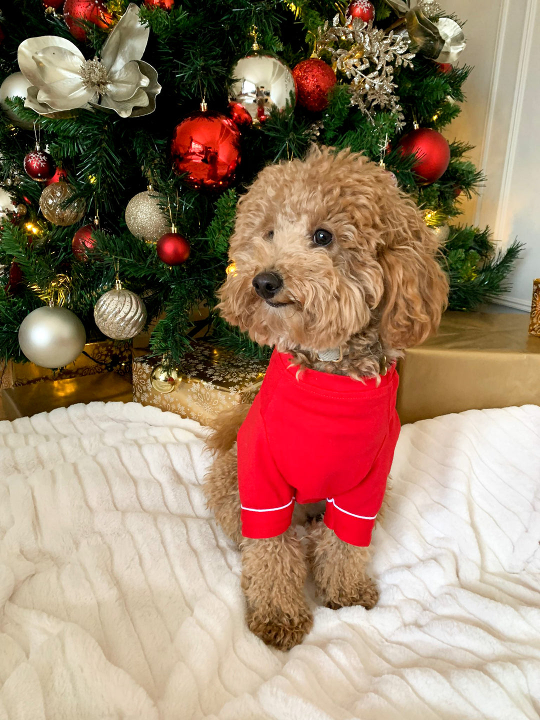 CANDY CANE - Pet One Piece Red Matching Pyjama Set *Option To Personalise!*