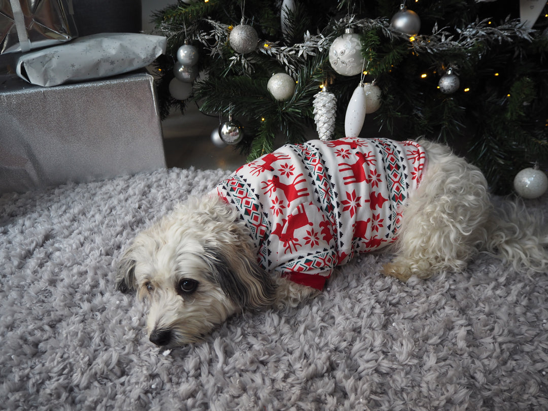 RUDOLPH - PET One Piece Matching Pyjamas