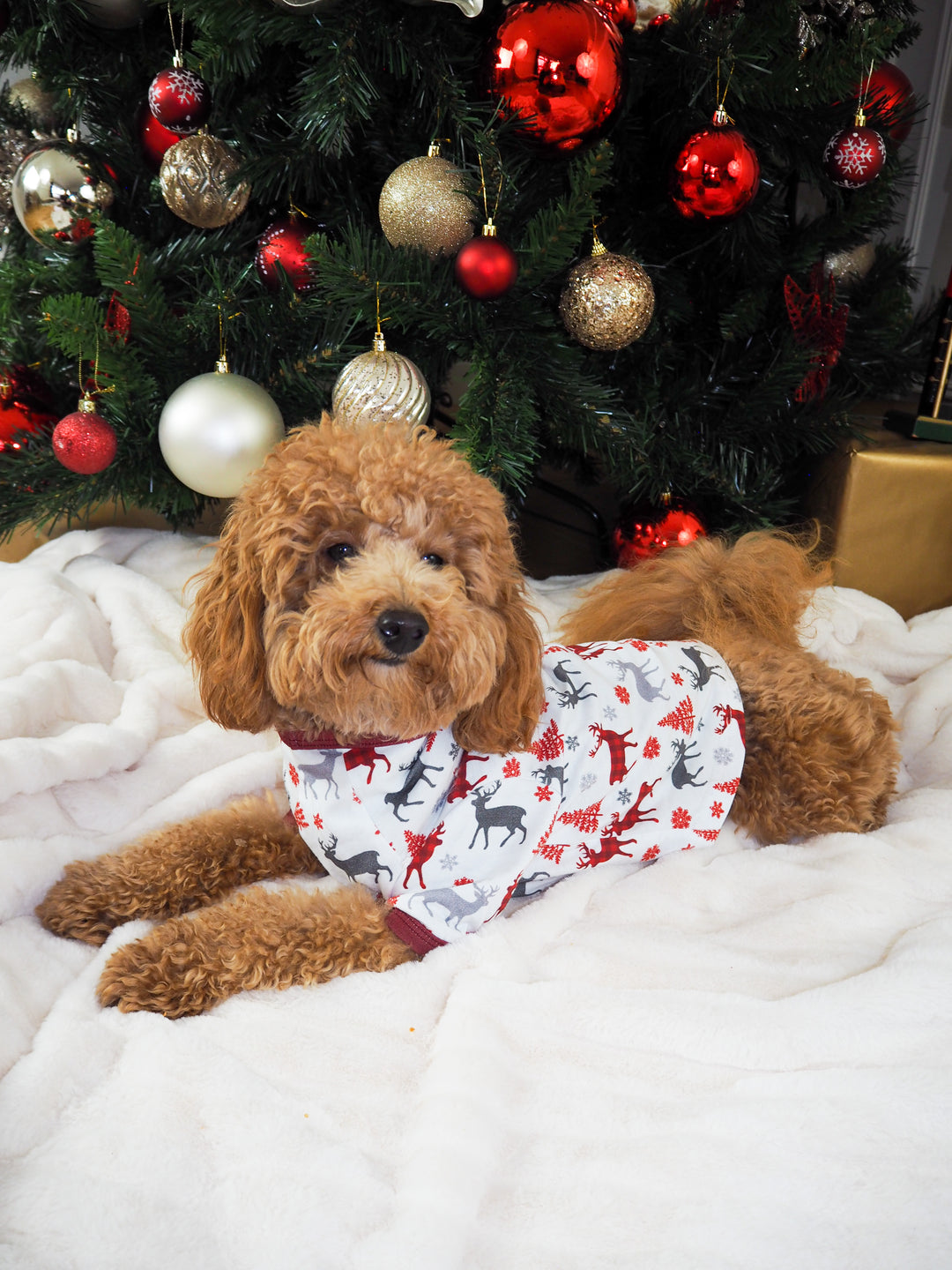 CHRISTMAS KISSES (2023) - Pet One Piece Red Matching Pyjama Set