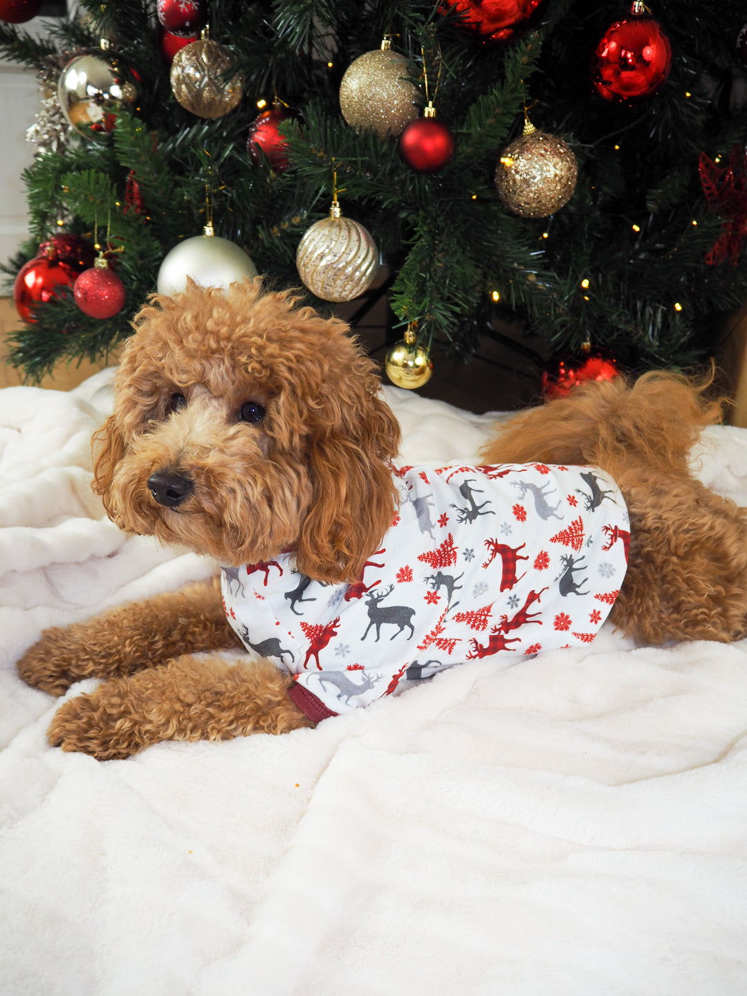 CHRISTMAS KISSES (2023) - Pet One Piece Red Matching Pyjama Set