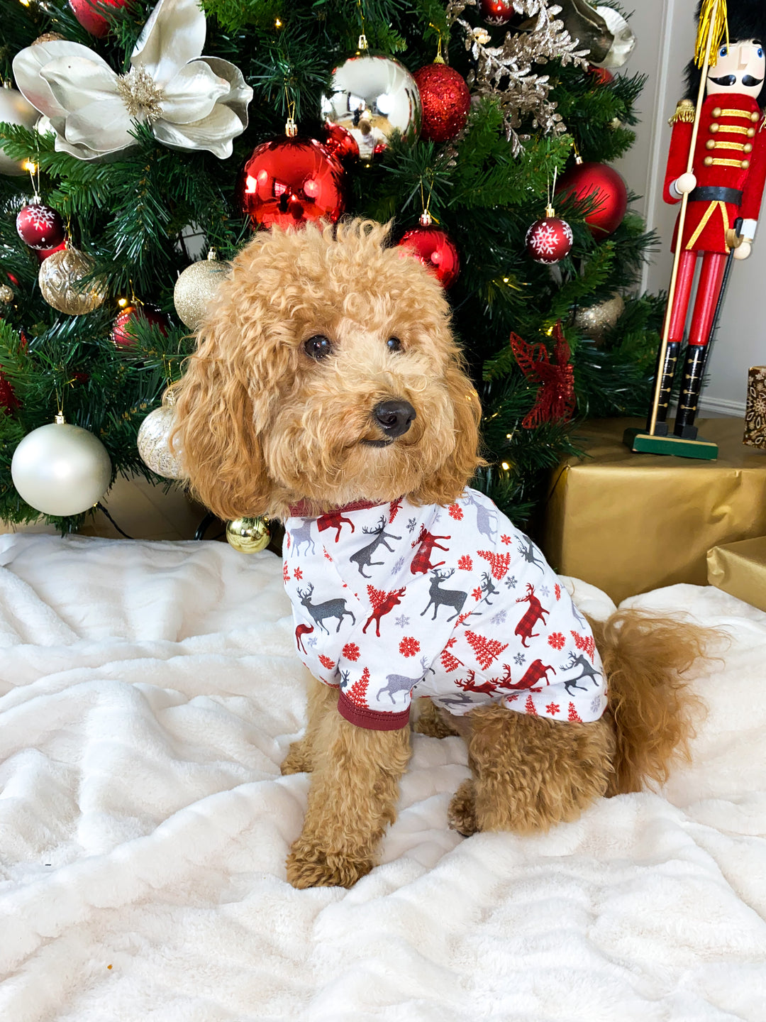 CHRISTMAS KISSES (2023) - Pet One Piece Red Matching Pyjama Set