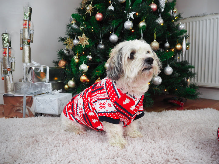 WINTER WONDERLAND - PET One Piece Matching Pyjamas