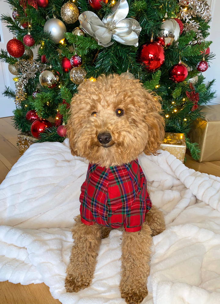 PERFECTLY PLAID (Luxury Range) - Pet One Piece Red Matching Pyjama Set