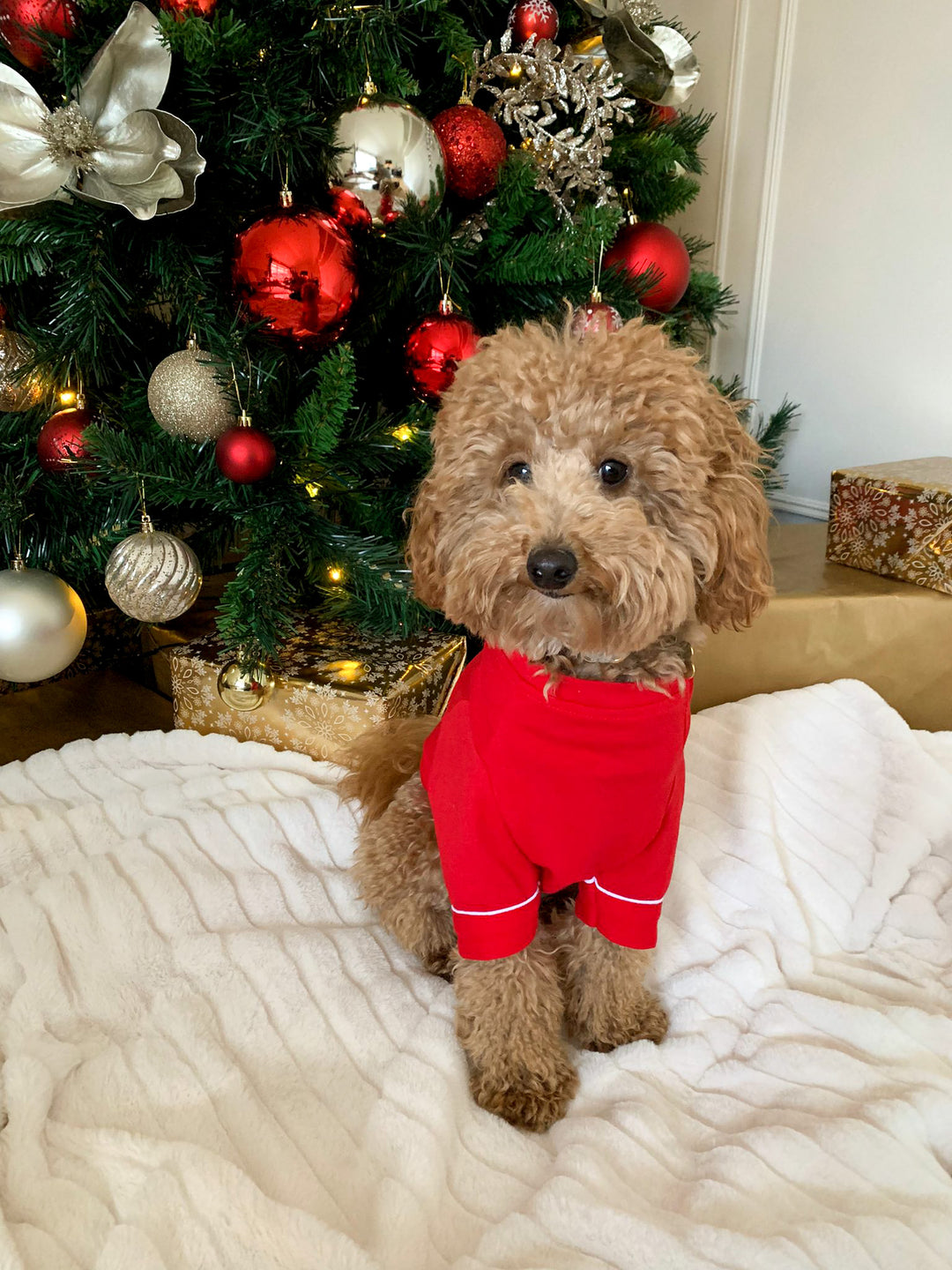 CANDY CANE - Pet One Piece Red Matching Pyjama Set *Option To Personalise!*