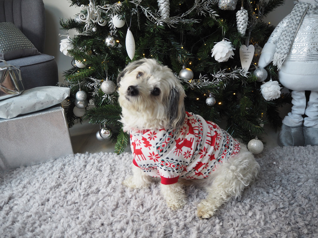 RUDOLPH - PET One Piece Matching Pyjamas