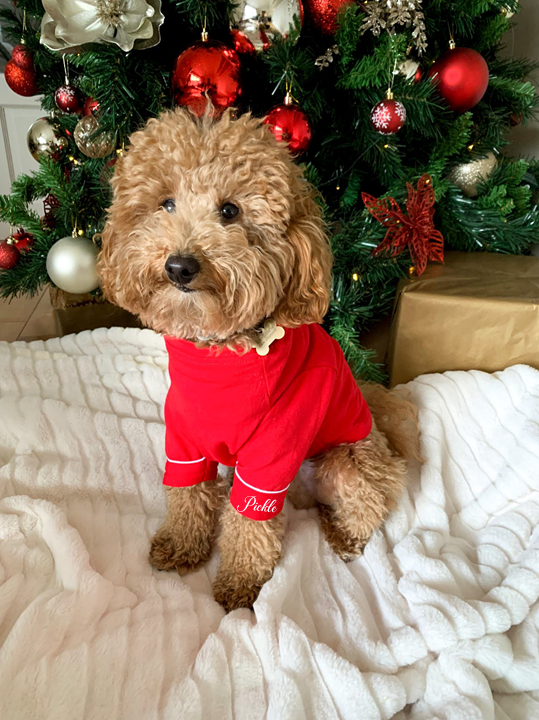 CANDY CANE - Pet One Piece Red Matching Pyjama Set *Option To Personalise!*